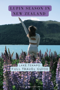Lake Tekapo New Zealand: Complete Travel Guide (Best Time to Visit, Lupins, Tips & Hidden Spots)