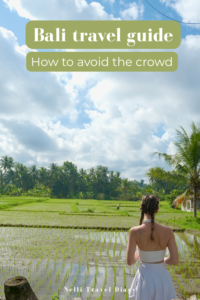 The Perfect 2 Week Bali Itinerary for First-Time Visitors
